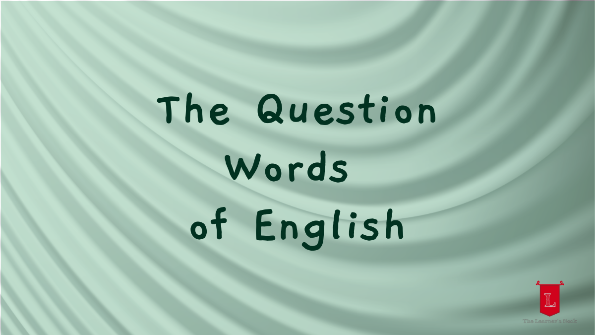 Question Words in English (With Exercises and Free Resources)